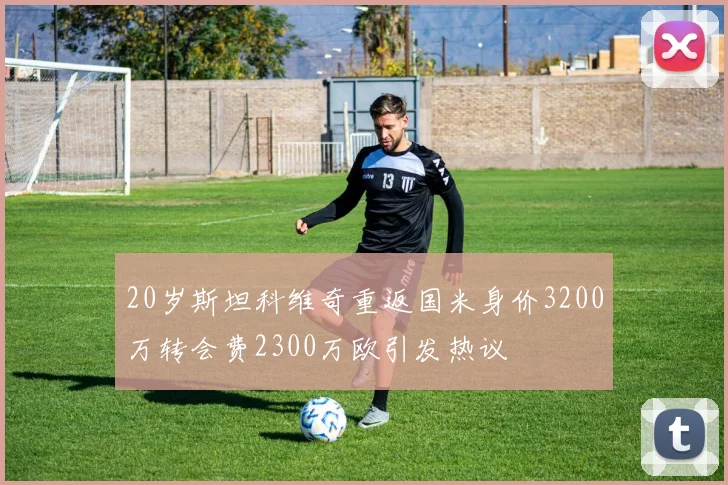 20岁斯坦科维奇重返国米身价3200万转会费2300万欧引发热议
