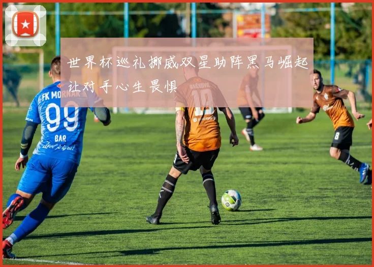 世界杯巡礼挪威双星助阵黑马崛起让对手心生畏惧