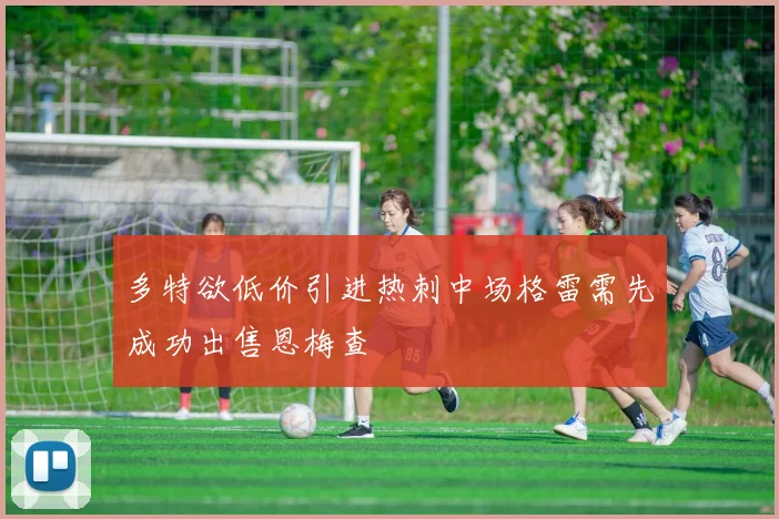 多特欲低价引进热刺中场格雷需先成功出售恩梅查